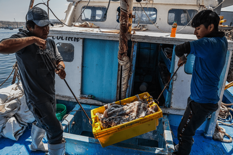 Pesca de pota en Perú