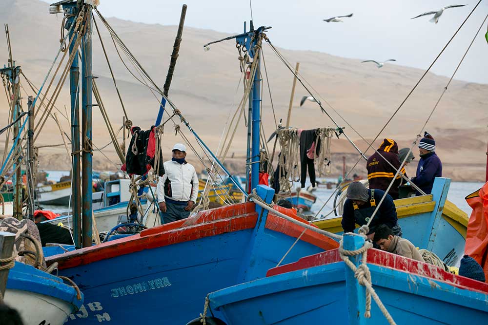 La Pesca Artesanal En El Perú En Las últimas Décadas Oceana Peru 3280