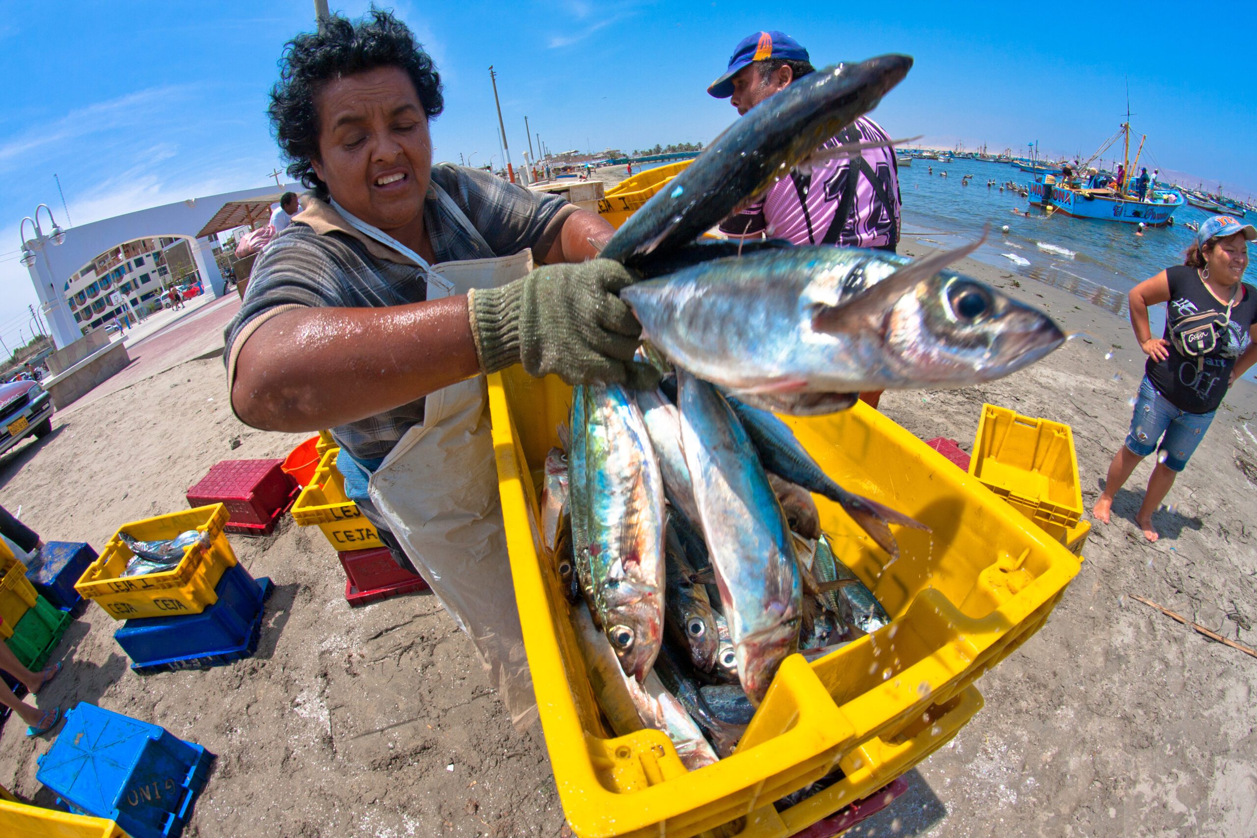 Los máximos representantes de la cocina peruana se unen para pedir